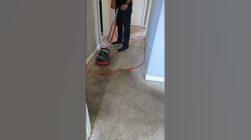 Carpet Cleaning Rental Properties