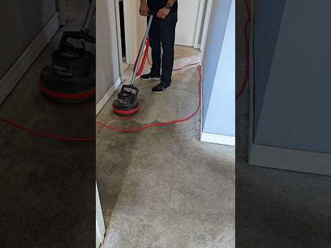 Carpet Steam Cleaning Near Me