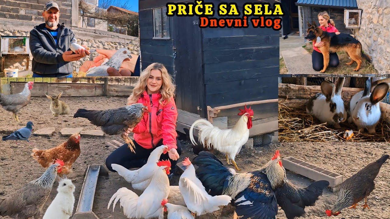 SEOSKI ŽIVOT❤️Ishrana i briga oko naših životinja💜stiže prinova  @@