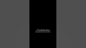 سورة الأحزاب|ياسر الدوسري #قران_كريم #شاشه_سوداء #كرومات_قرآن #ياسر_الدوسري #اكسبلور #تلاوة_خاشعة.