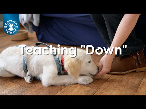 Teaching "Down"