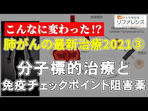 肺がんの最新治療2021③分子標的治療と免疫チェックポイント阻害薬