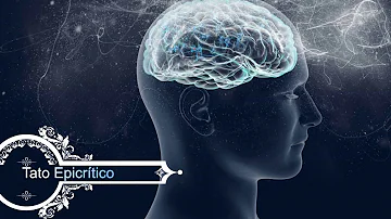 Qual é a função do córtex Somestésico?