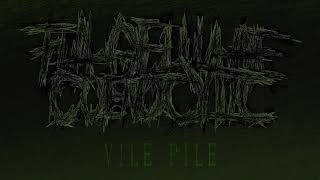 Flagellulae Coenocytic - Vile Pile