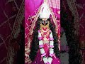 मां कालिका जी के दैनिक दर्शन #Guru#maa#ka#ladla#kalka#navdurga#darbar#roorkee #viralvideos