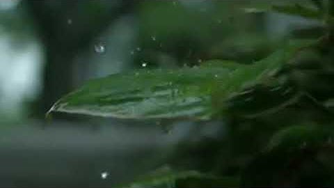 تلاوة خيالية البهتيمي l لَٰكِنِ الَّذِينَ اتَّقَوْا رَبَّهُمْ لَهُمْ غُرَفٌ مِّن فَوْقِهَا غُرَفٌ