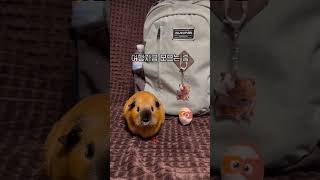 여행자금 모으는 중