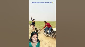 “I’m not lazy, I’m just on energy-saving mode — permanently!” 😆 #shorts