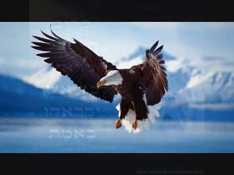 הרב שלום סבג רק אמונה בלי לראות 