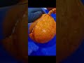 #сдымкомбарнаул #сибирь #семга