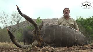 Hunting a Nyala Bull in One of South Africa’s Most Beautiful concession 🇿🇦