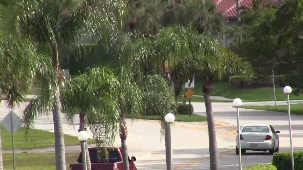 Canon Vixia HF M31 zoom powered IS image stabilization