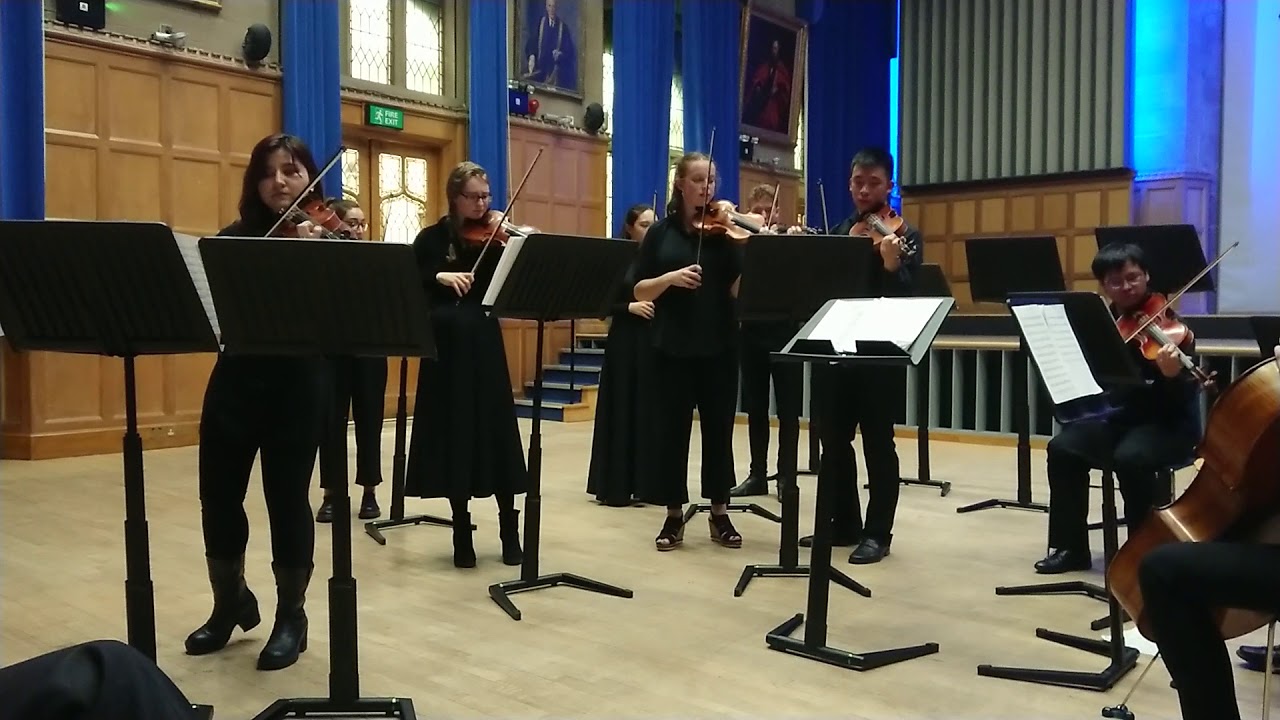 Vivaldi Violin Concerto in D Minor RV 248 for Anna Maria del violin