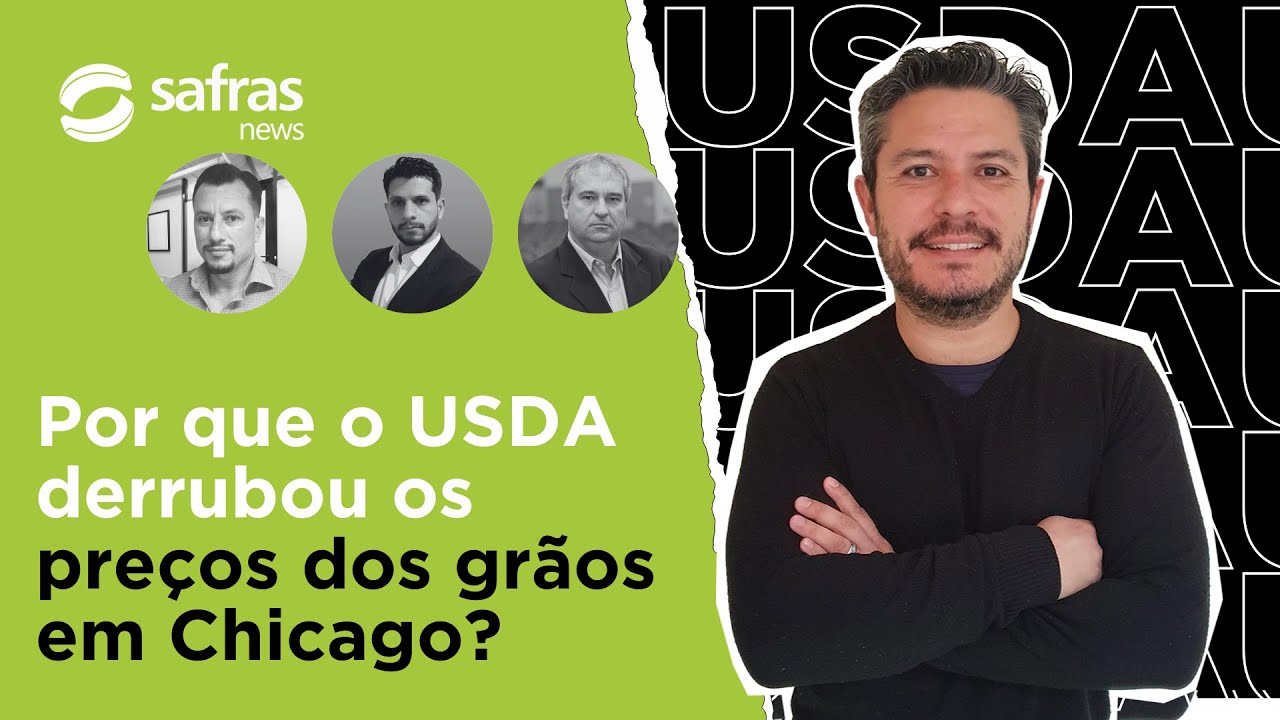Avaliamos o relatório de janeiro do USDA para soja, milho e trigo - Pós-USDA