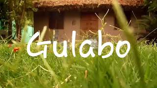 Gulaabo | | Choreograph By Somesh Chavan|Abhishek_Student| DDA| Dance_love_Respect