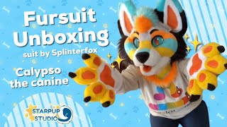 Fursuit Unboxing [Calypso the Canine] Splinterfox Fursuit