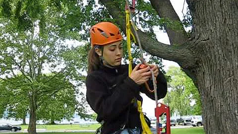 Tree Climbing: Descending and Switch to Rappel