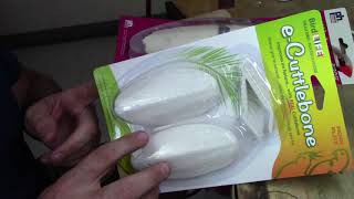 Choose the right cuttle bone for cuttlebone casting.