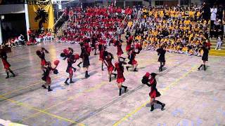 Pompoms Lions 2011