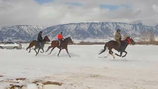 Конный праздник в Усть-Коксе.