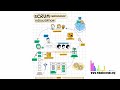 Scrum Framework Visualization