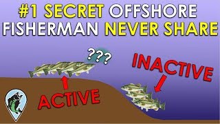 Fish Finder Secret Pros Don't Want You To Know! | Bass Fishing Sonar