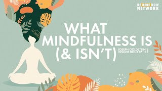 What Mindfulness Is (& Isn't) - Joseph Goldstein's Insight Hour Ep. 113