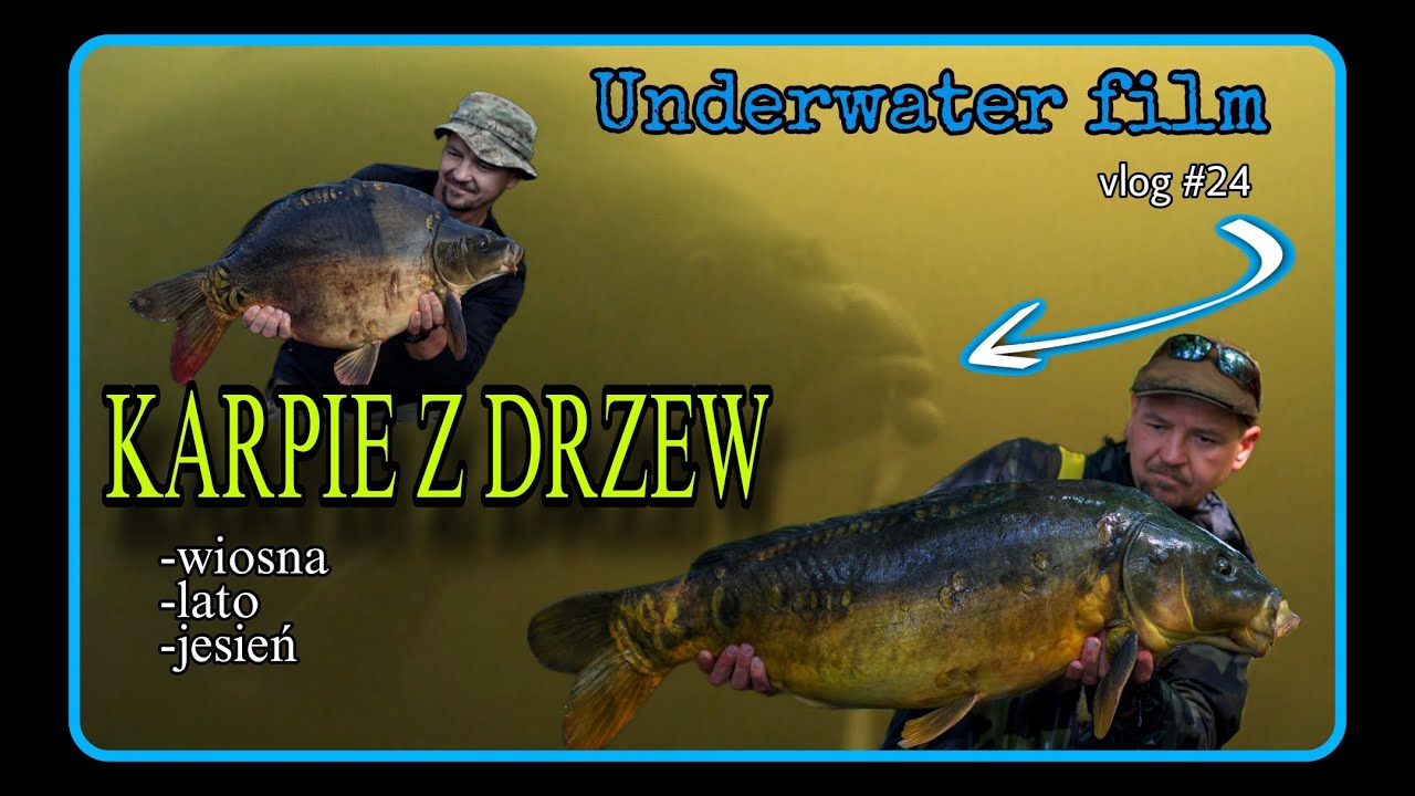 Karpie z drzew - ujęcia i hole podwodne / Vlog #24