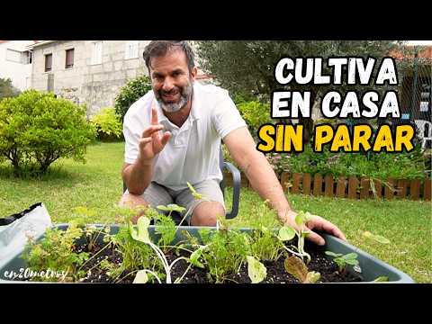 Estoy cultivando EN CASA sin parar: renueva tu mesa de cultivo en 10 minutos || en20metros