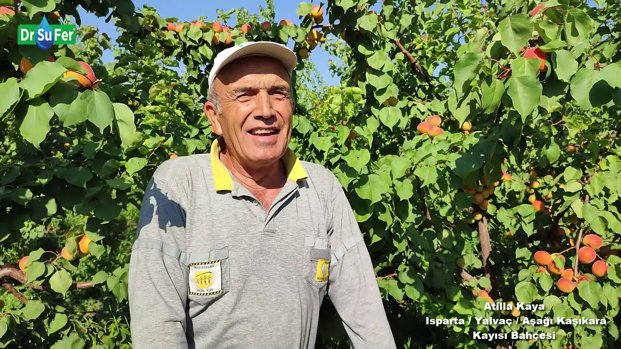 Atilla Kaya - Kayısı Bahçesi  (Isparta/Yalvaç/Aşağı Kaşıkara)