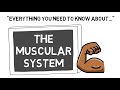 The muscular system  sport science hub physiology fundamentals  music version