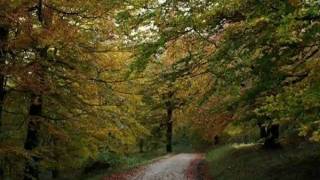   COLORES DE OTOÑO CANTABRIA