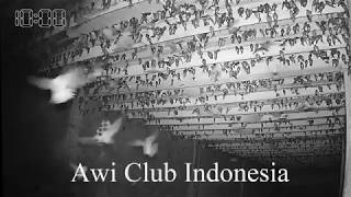 Awi Club