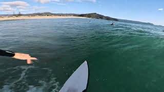 EPIC SURF!!! (4K POV)