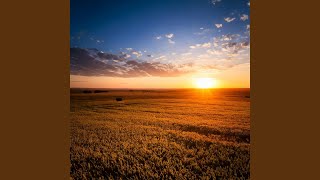 Soft Nightfall Soothing Sounds