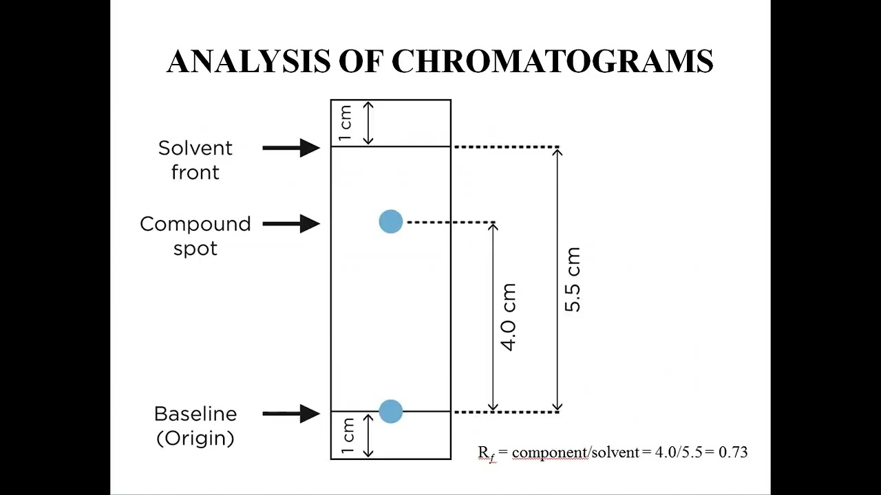 Chromatography