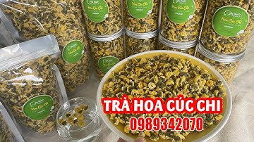 Mua Trà Hoa Cúc Chi Ở Đâu Chất Lượng Và Hướng Dẫn Sử Dụng