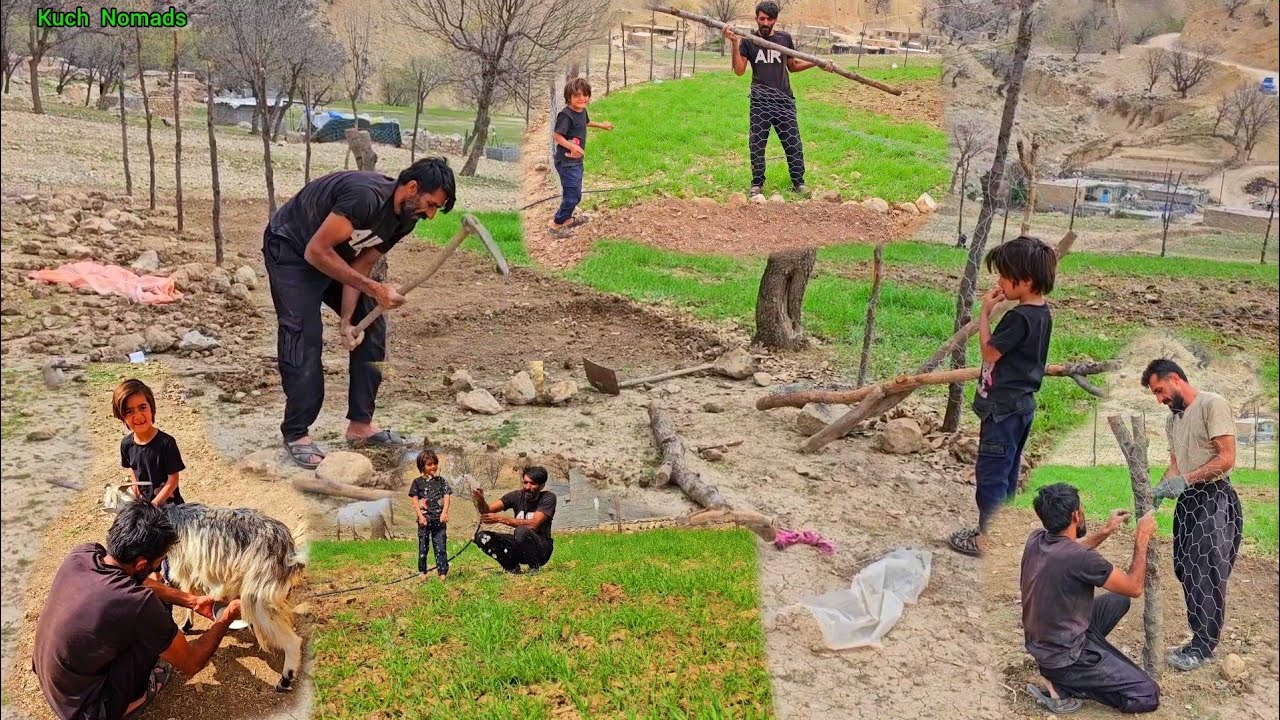 Nomadic life with the Omid family in the fenced area around the garden and milking the goats.