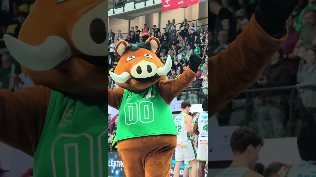 HEJ ZASTAL KOSZ! 🔥🏀