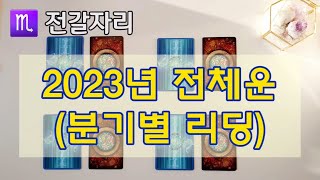 ♏전갈자리 2023년 전체운(분기별 월별 리딩)
