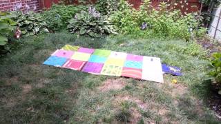 Exploding Paint Project