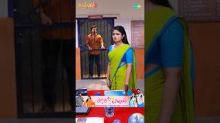 Malli Serial Shorts | Ep 701 - 8 | Nikitha | Vijay | Saregama TV Shows Tamil #shorts #ytshorts