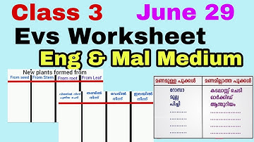 Class 3 EVS Worksheet June 29/3 rd std Evs worksheet 29/6/21/Std 3 evs worksheet 29/6/21/Eng & Mal