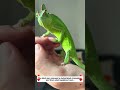 Amazing Links People and Animals#lovestory #animals #wildliferescue #pets #rescue #love #funny