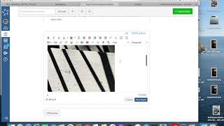 How to embed an image into a discussion on Canvas