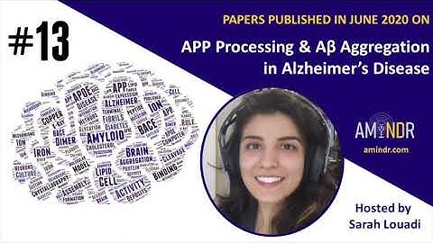 13 - APP Processing & Amyloid-beta aggregation: Alzheimer
