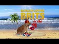 Bargain loving brits in the sun  craig k voice over appearance