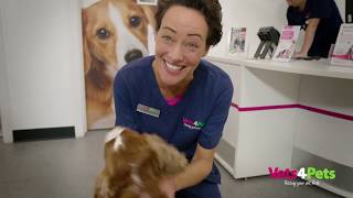 Complete Care TV Advert 2019 | Vets4Pets
