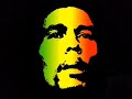 Is this Love - Bob Marley / 1 hour (1 hora)
