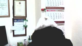 Capture 20121220 2